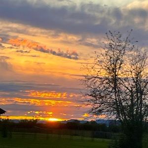 Meet your Posher, Posh